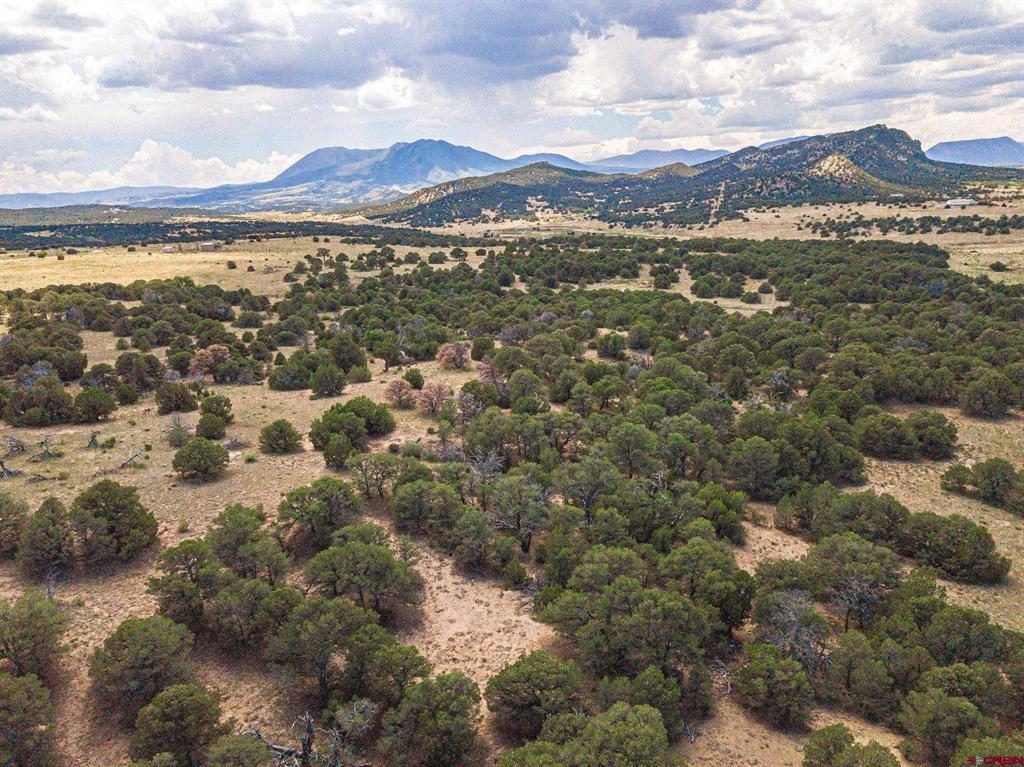 Tbd County Rd. 521 Property Photo 29