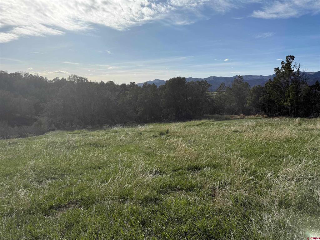 14495 Scott Loop Property Photo 1
