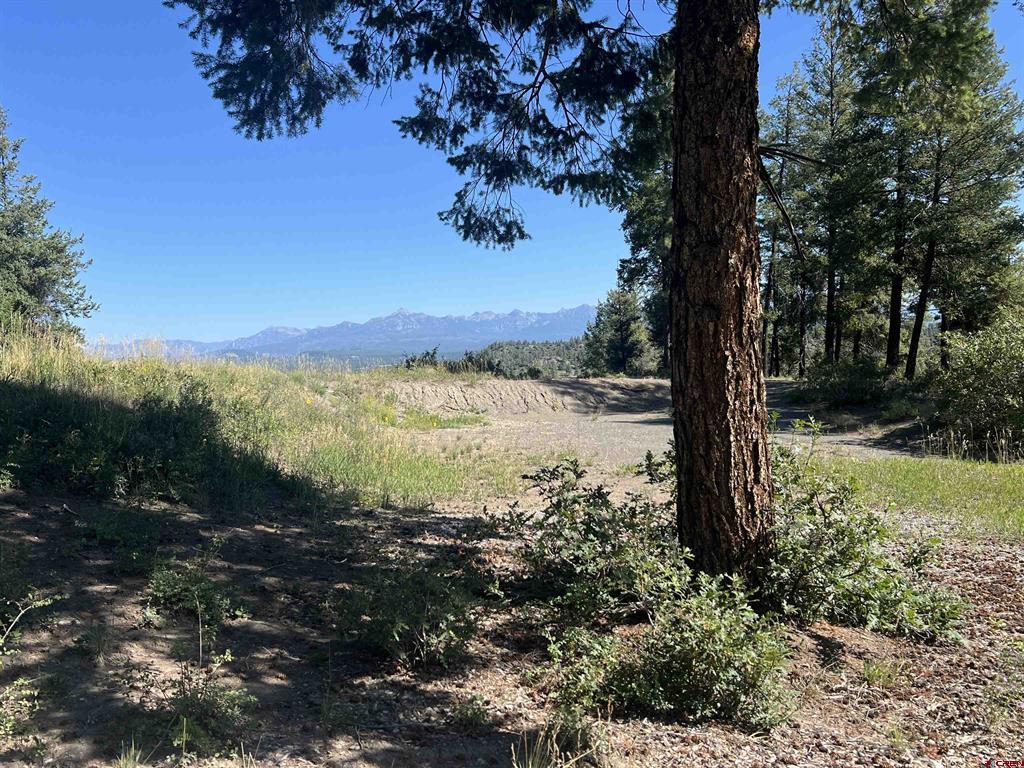 X Dolese Court Property Photo