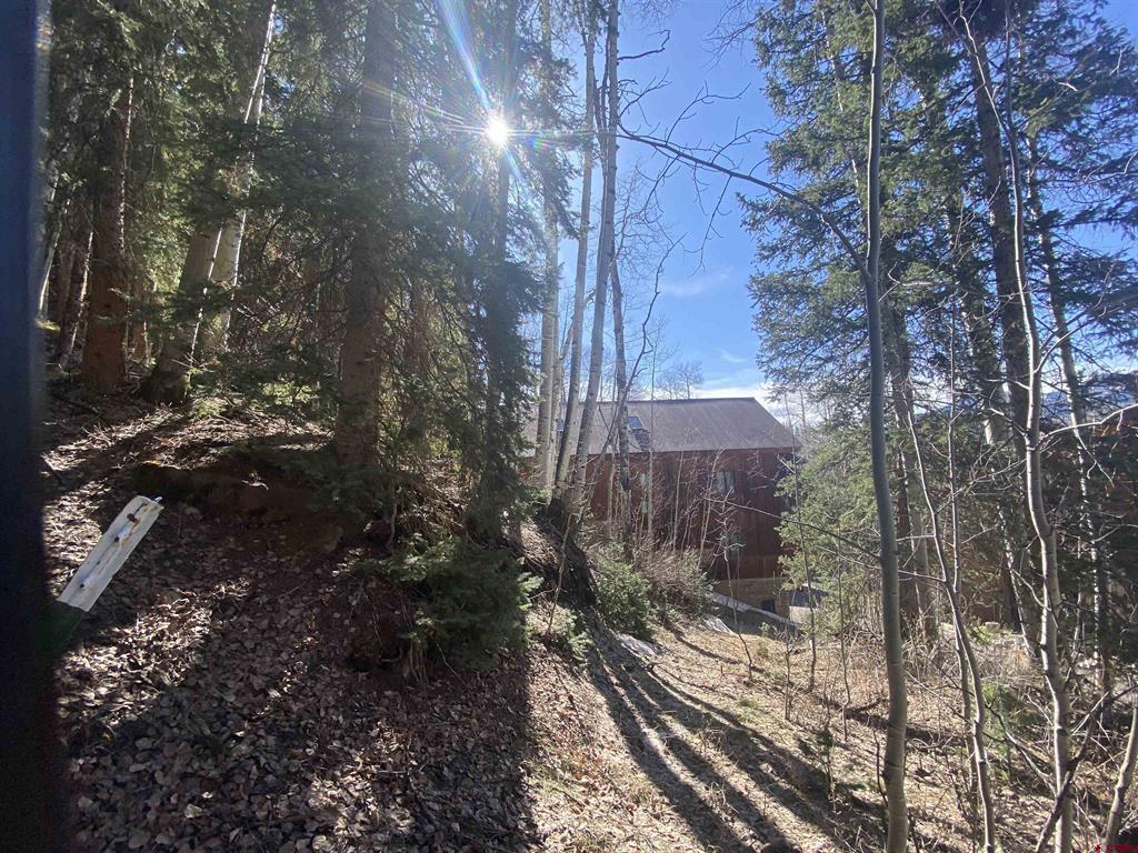 8 Spring Creek Drive Property Photo 6