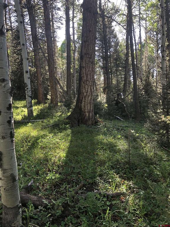 457 Ute Drive Property Photo 13