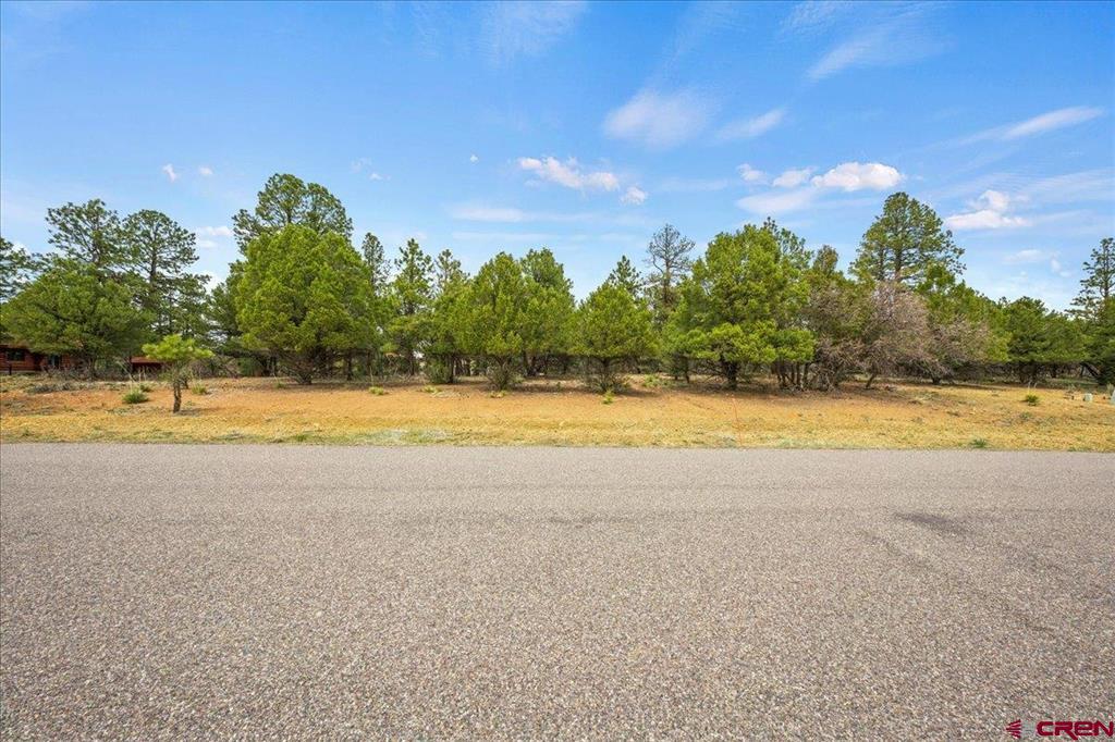 681 Marmot Drive Property Photo 3