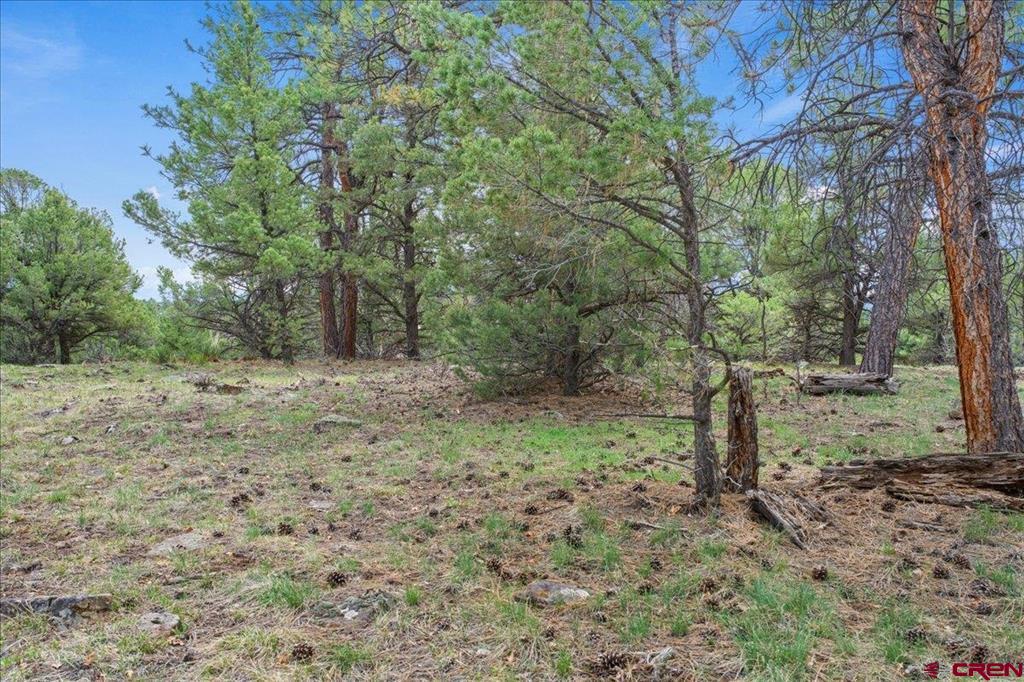 681 Marmot Drive Property Photo 7