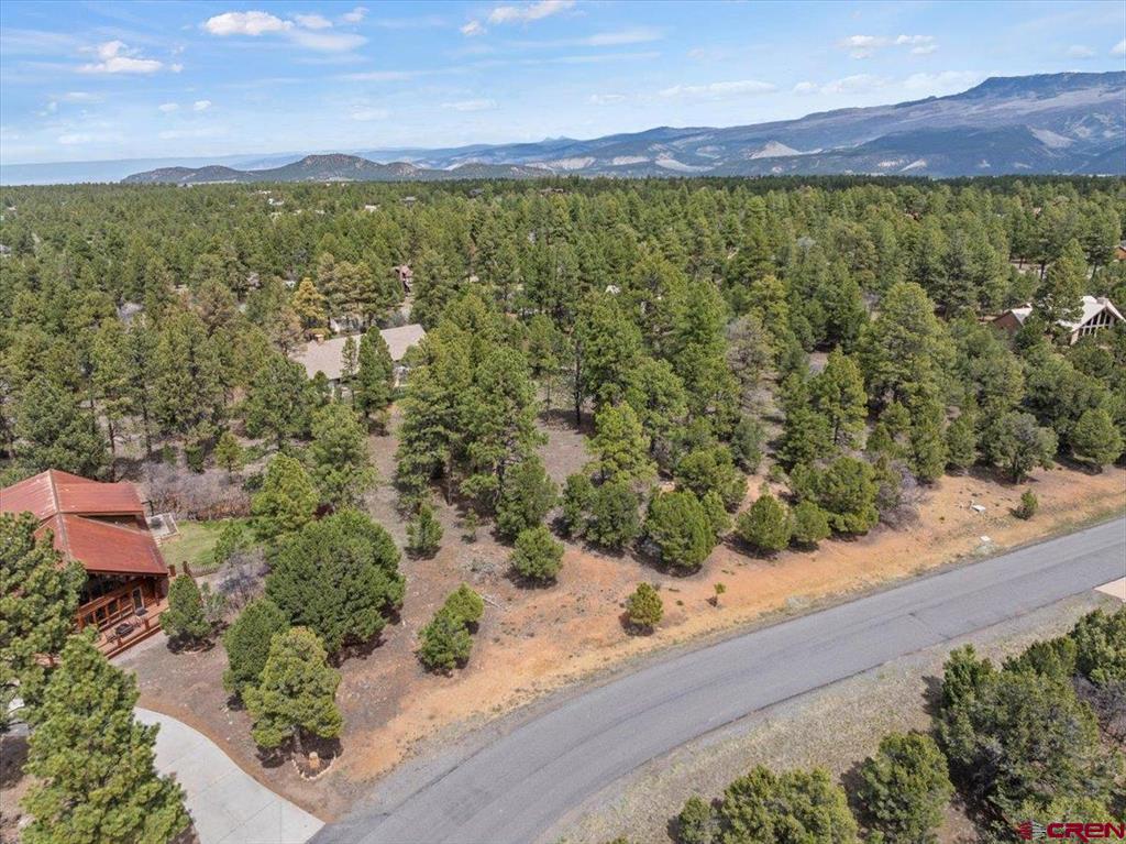 681 Marmot Drive Property Photo 8