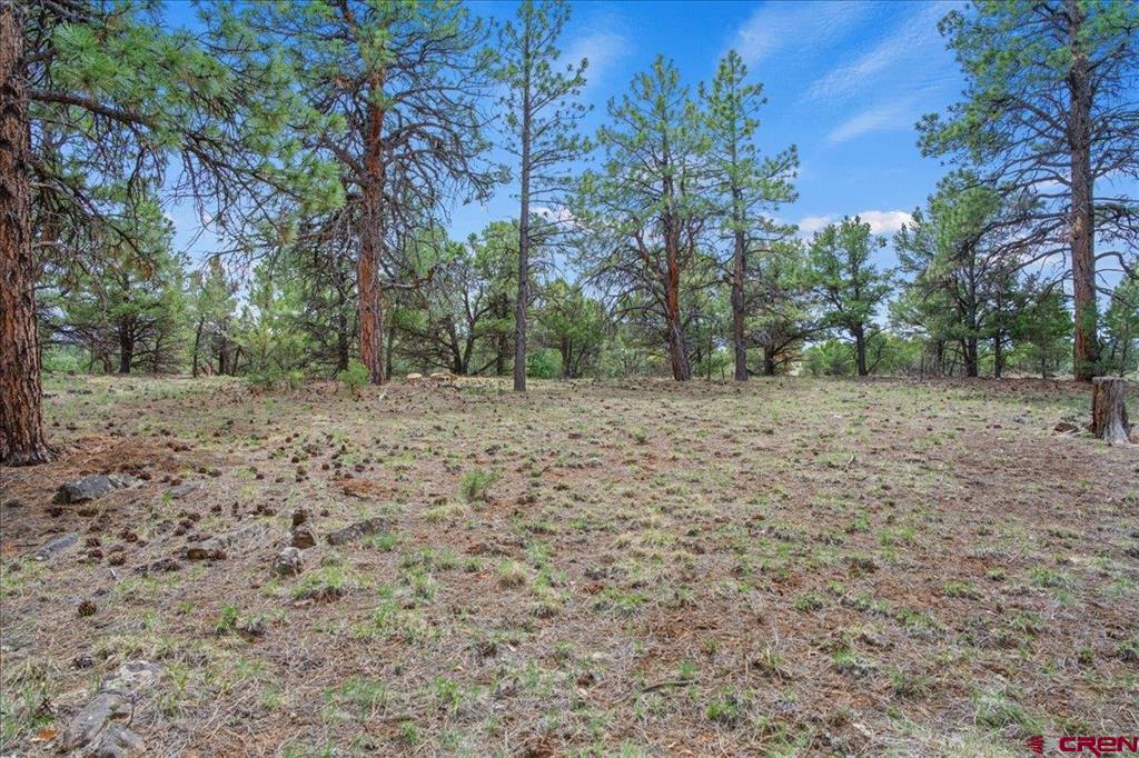 681 Marmot Drive Property Photo 11