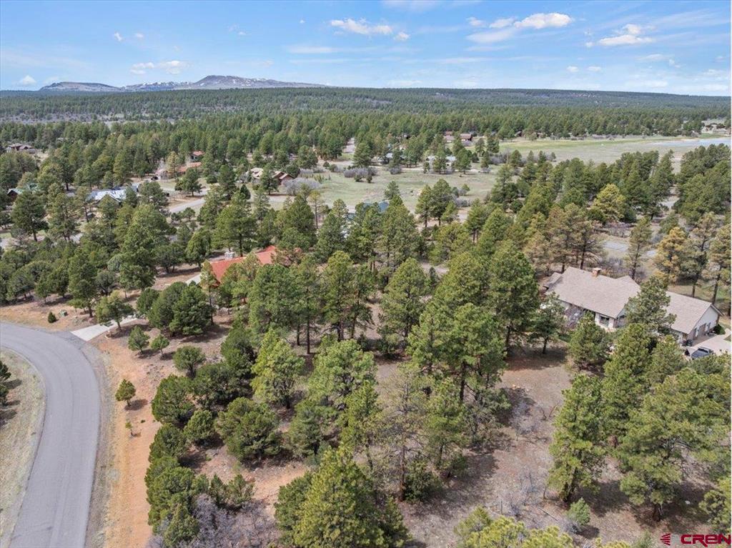 681 Marmot Drive Property Photo 12