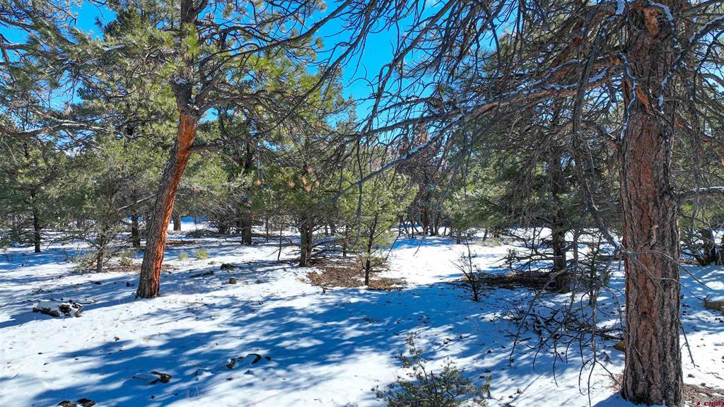 681 Marmot Drive Property Photo 18