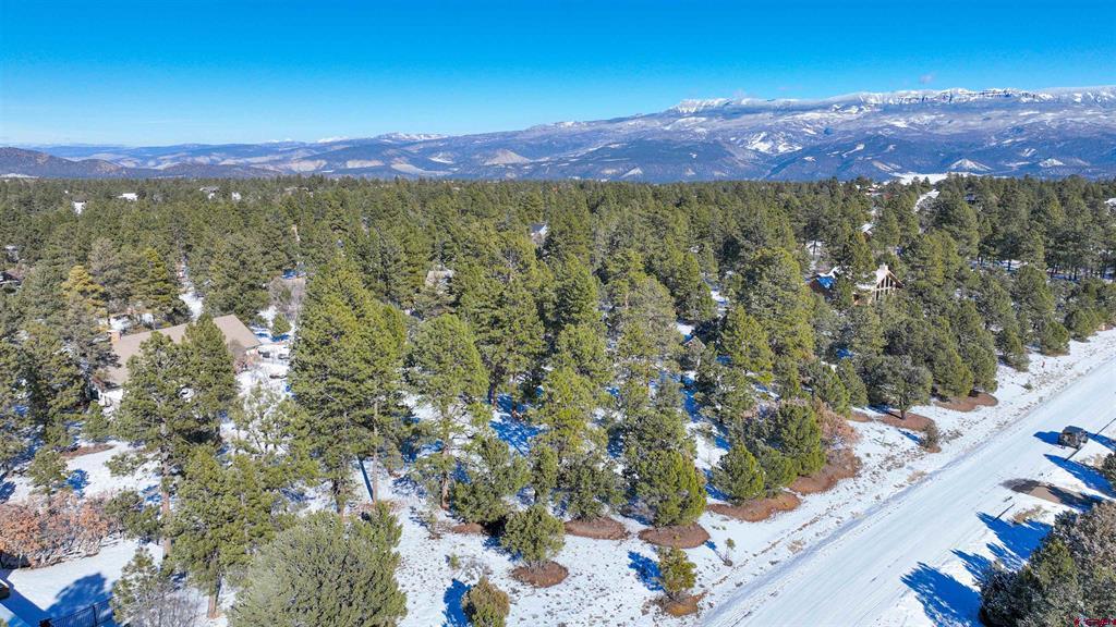 681 Marmot Drive Property Photo 19