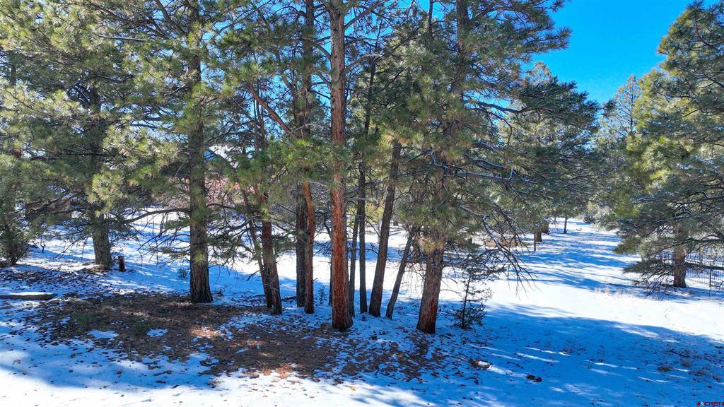 681 Marmot Drive Property Photo 20