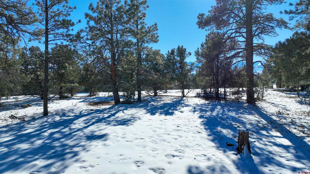 681 Marmot Drive Property Photo 21