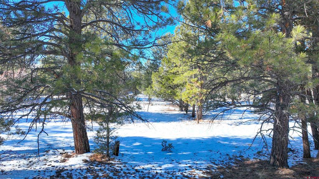 681 Marmot Drive Property Photo 22