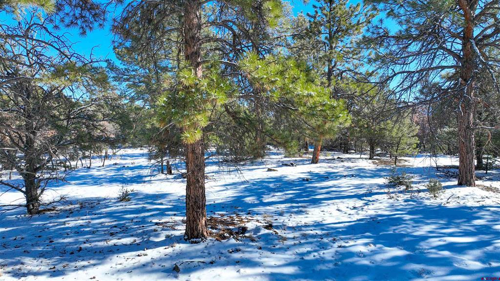 681 Marmot Drive Property Photo 23