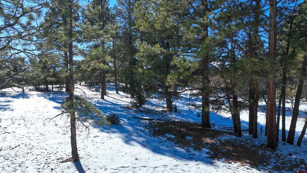 681 Marmot Drive Property Photo 25