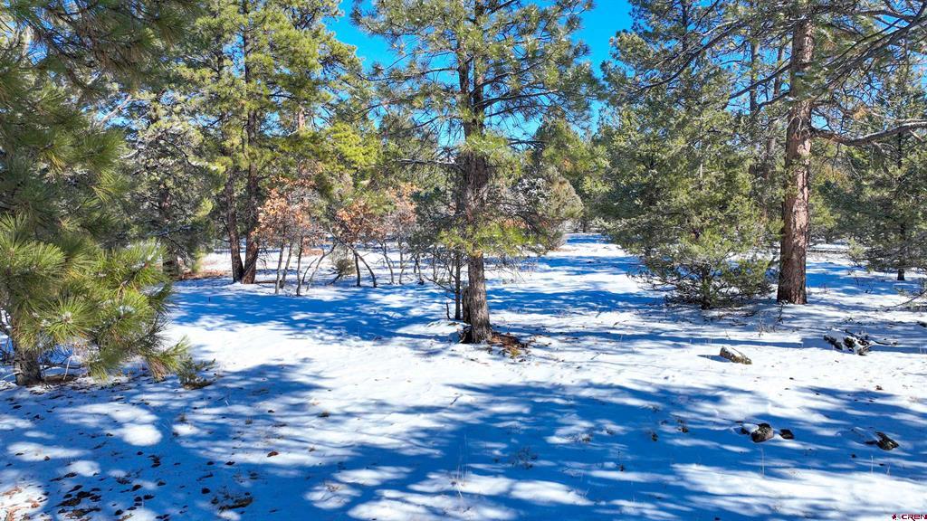681 Marmot Drive Property Photo 26