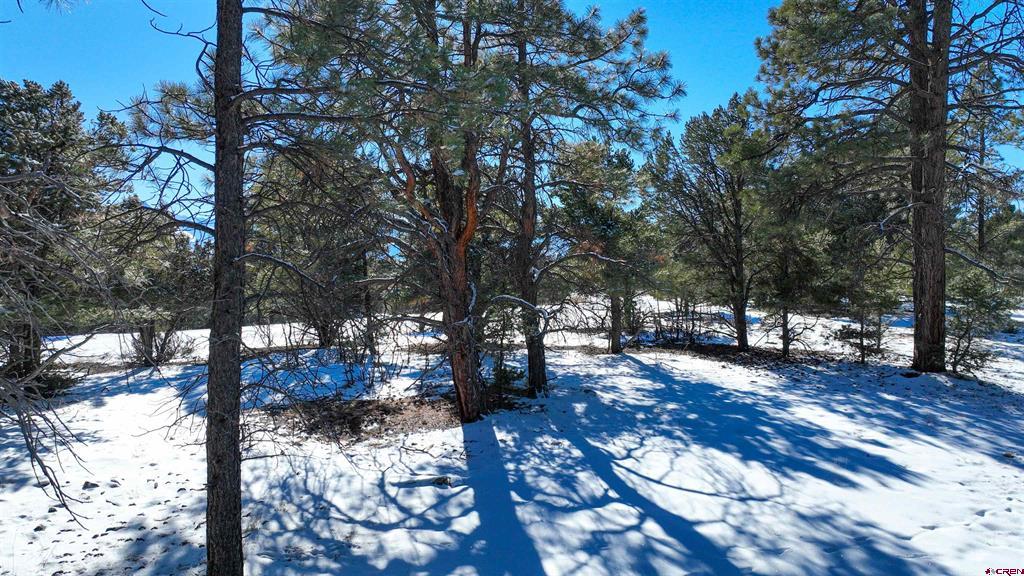 681 Marmot Drive Property Photo 27