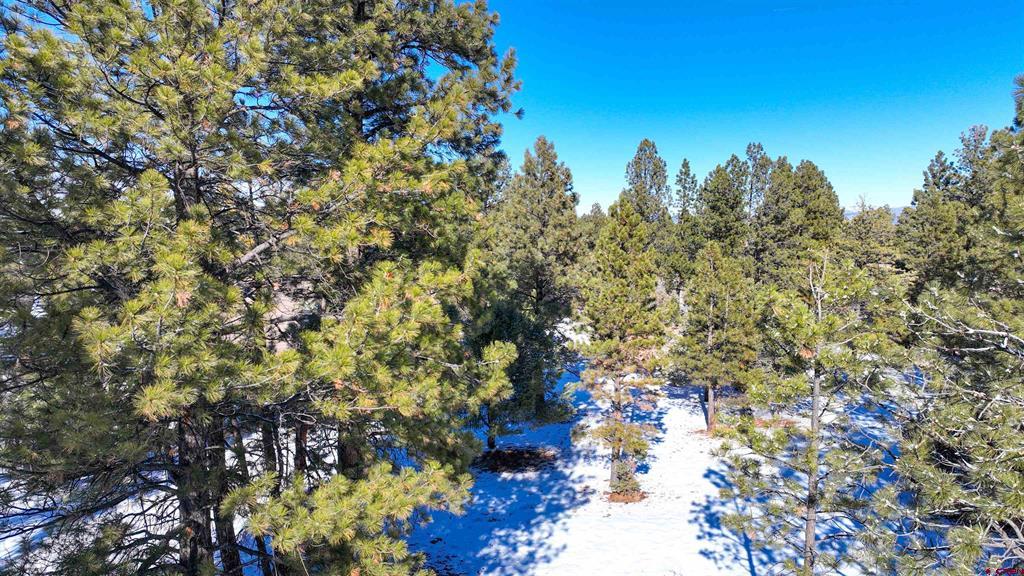681 Marmot Drive Property Photo 30