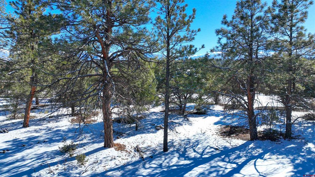 681 Marmot Drive Property Photo 32