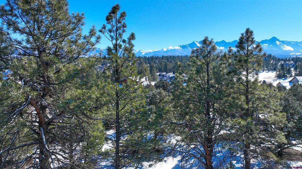 681 Marmot Drive Property Photo 36