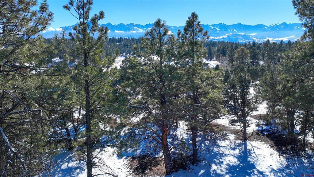681 Marmot Drive Property Photo 37
