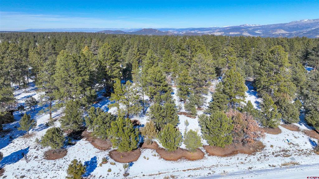 681 Marmot Drive Property Photo 39