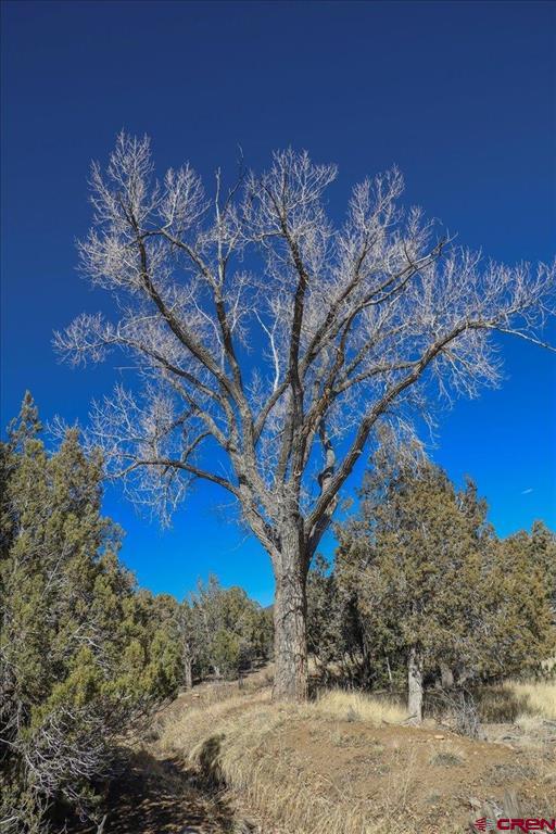 17580 Highway 151 Property Photo