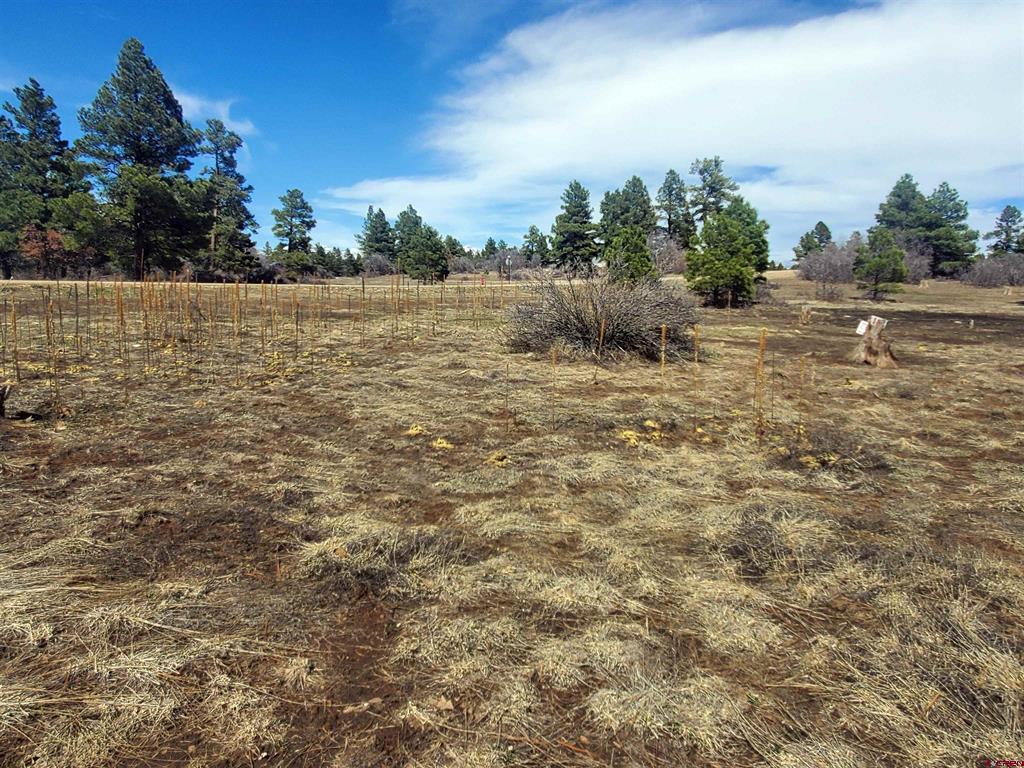 1346 Trails Boulevard Property Photo