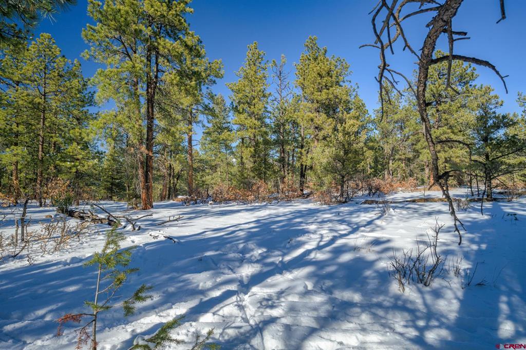 Tbd Rancho Escondido Lot 15 Property Photo 6