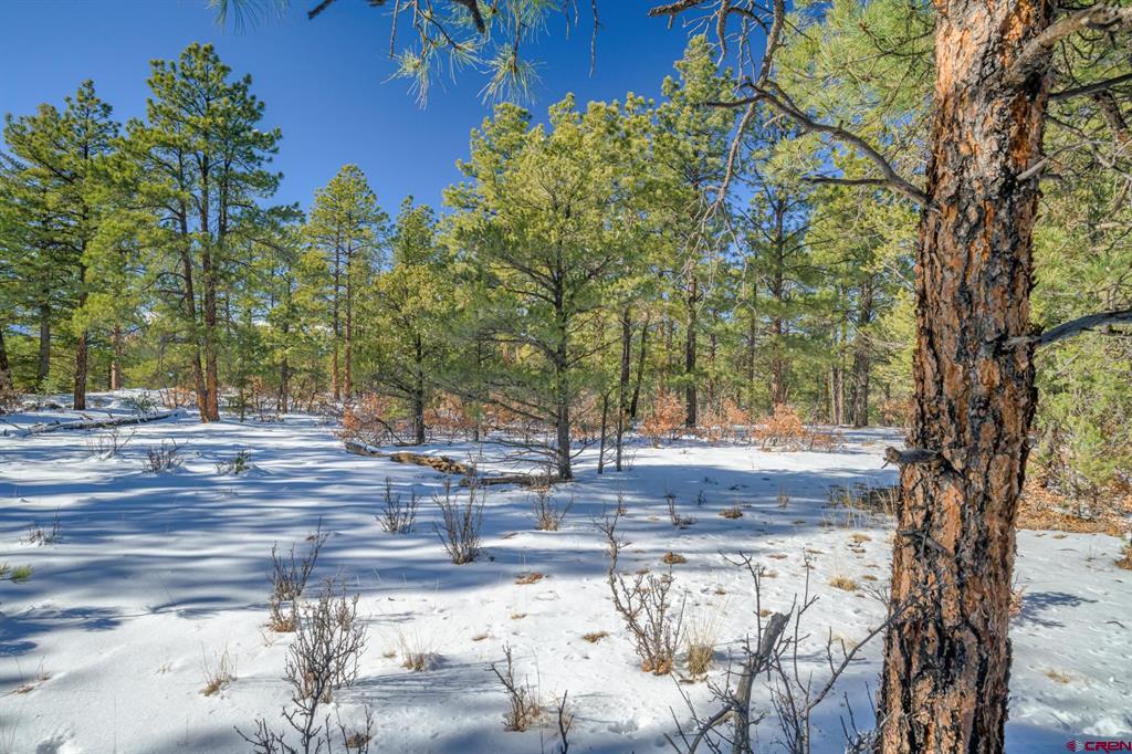 Tbd Rancho Escondido Lot 15 Property Photo 7