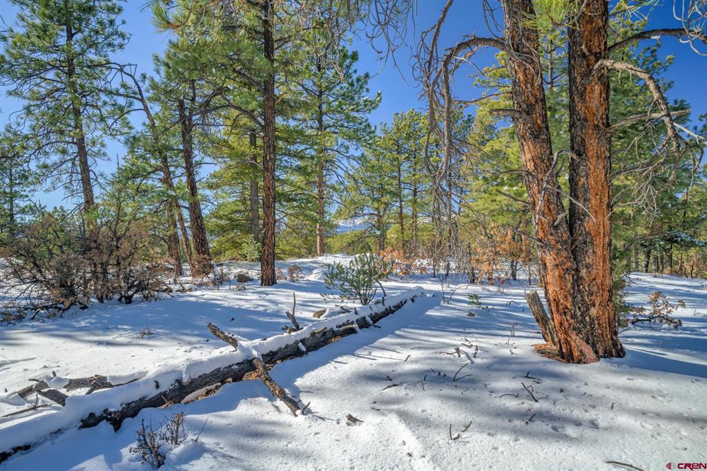 Tbd Rancho Escondido Lot 15 Property Photo 8