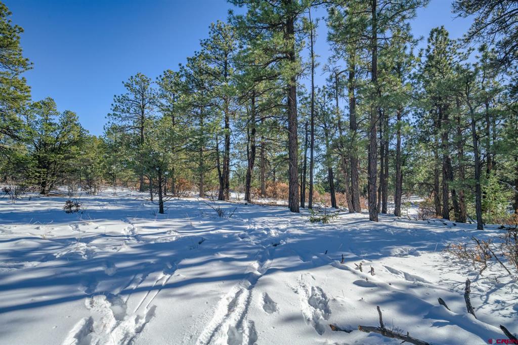 Tbd Rancho Escondido Lot 15 Property Photo 9