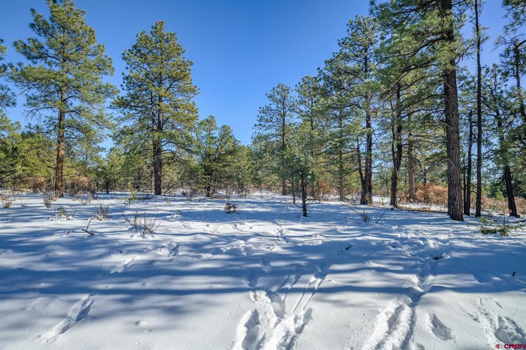 Tbd Rancho Escondido Lot 15 Property Photo 10