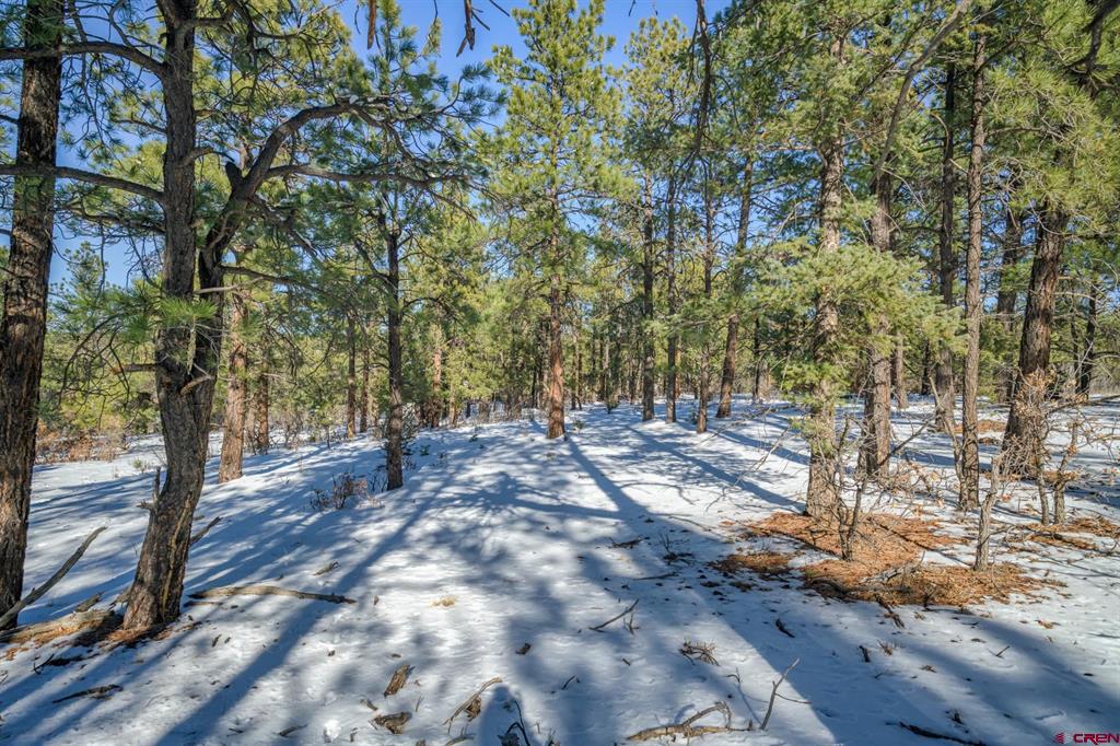 Tbd Rancho Escondido Lot 15 Property Photo 12