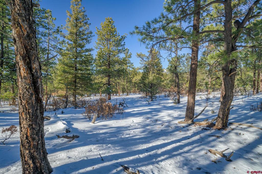 Tbd Rancho Escondido Lot 15 Property Photo 13