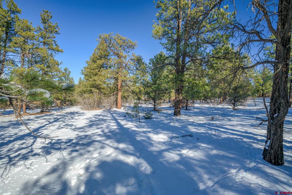 Tbd Rancho Escondido Lot 15 Property Photo 15