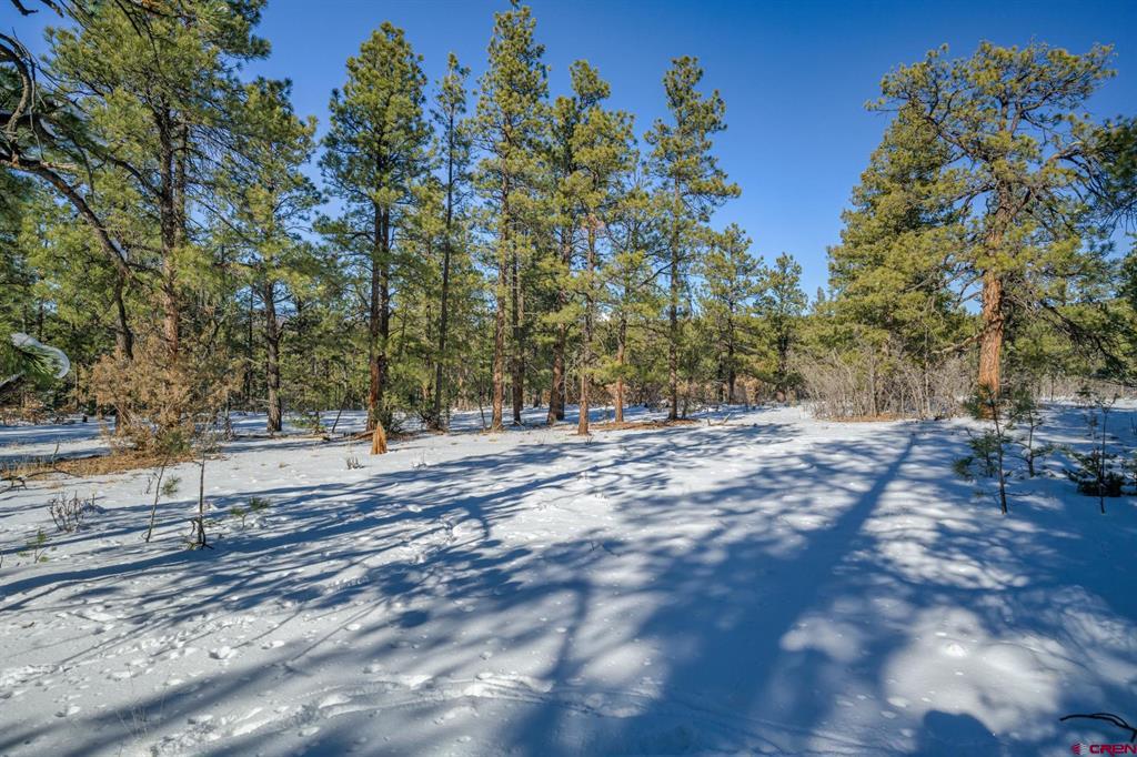 Tbd Rancho Escondido Lot 15 Property Photo 16