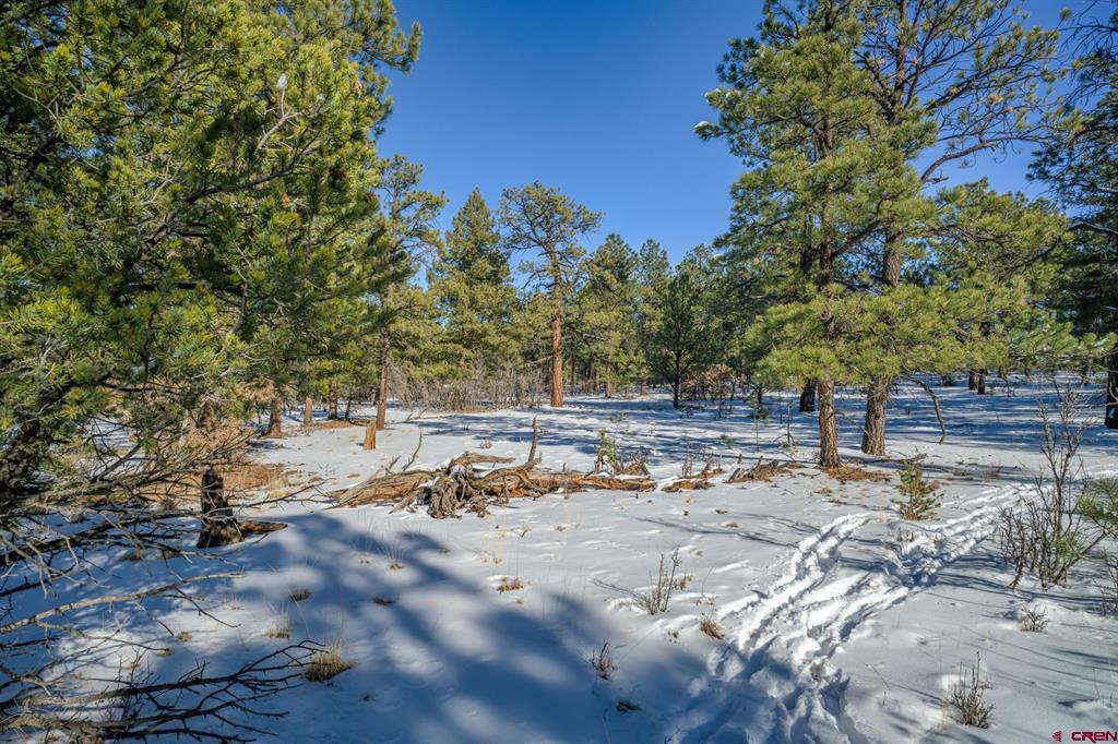 Tbd Rancho Escondido Lot 15 Property Photo 17
