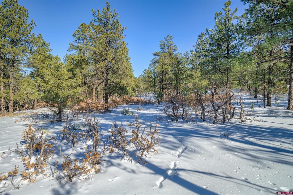 Tbd Rancho Escondido Lot 15 Property Photo 20