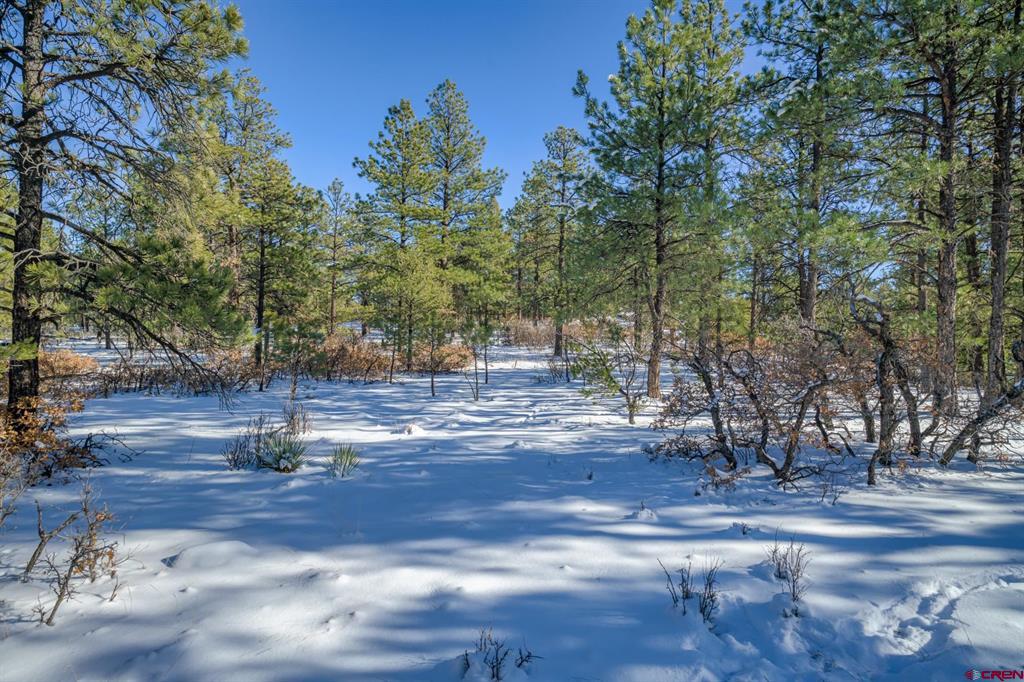 Tbd Rancho Escondido Lot 15 Property Photo 21