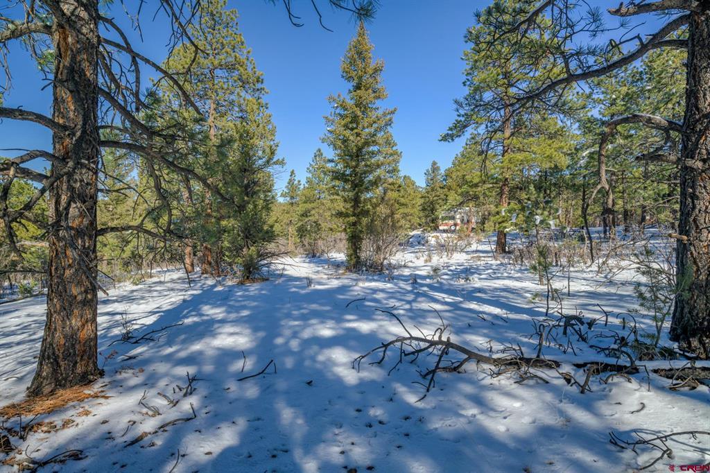 Tbd Rancho Escondido Lot 15 Property Photo 32