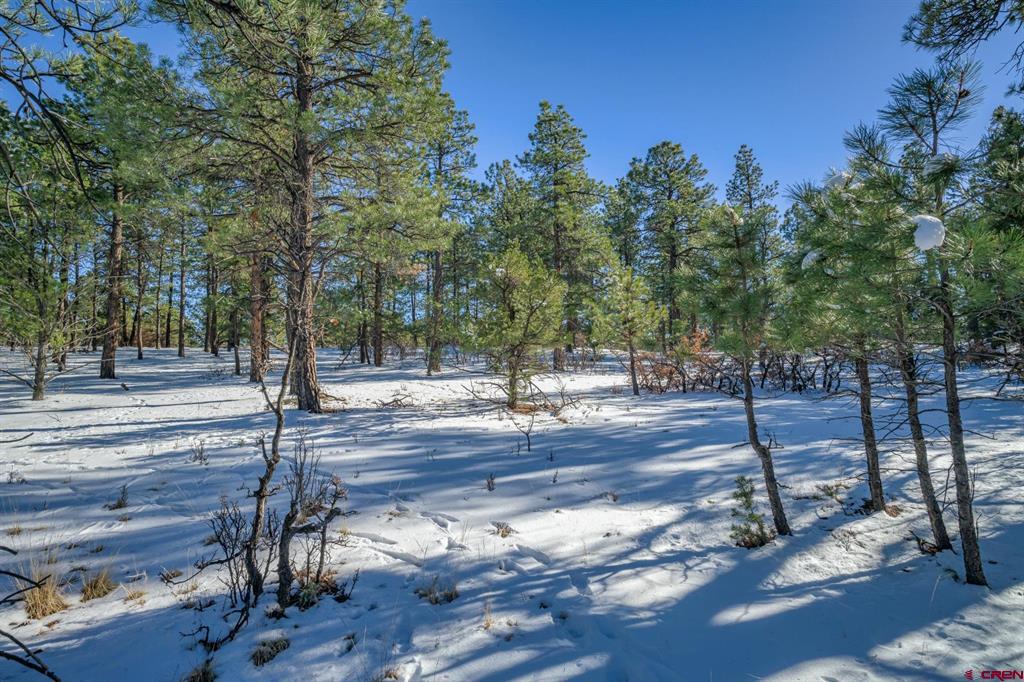 Tbd Rancho Escondido Lot 15 Property Photo 33