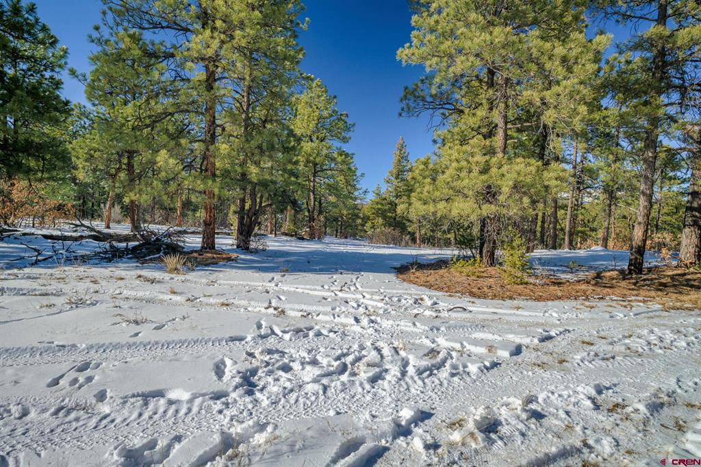 Tbd Rancho Escondido Lot 15 Property Photo 34