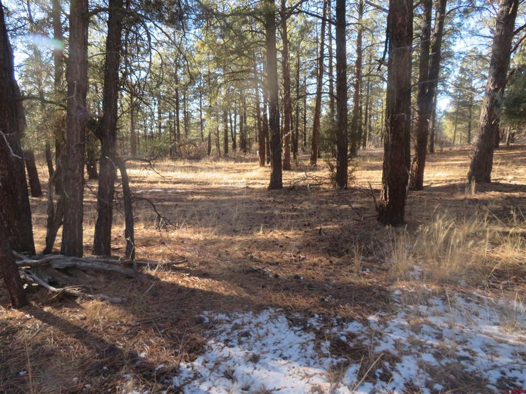 553 Crooked Road Property Photo 1