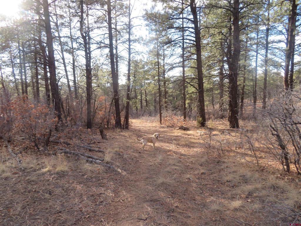 735 Doc Adams Road Property Photo