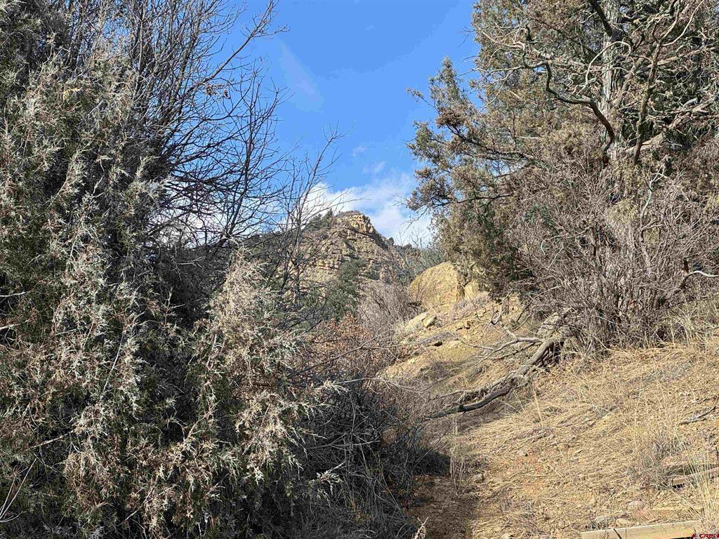 B3 L2 & L3 County Rd 335 Property Photo