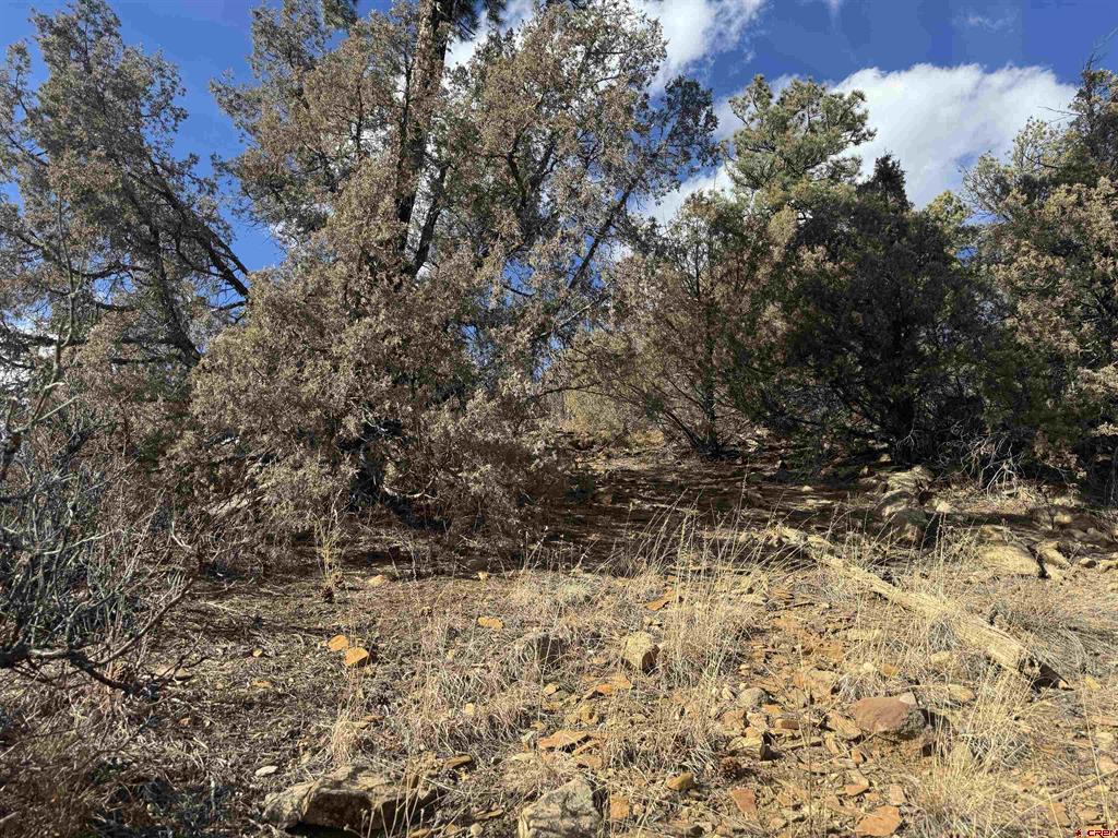 B3 L2 County Road 335 Property Photo