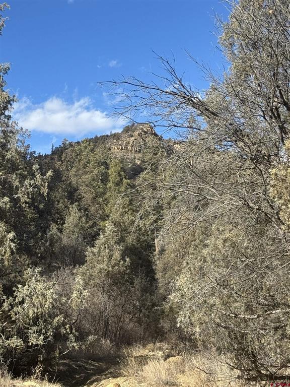 Rio Blanco Cabin Sites 2 08 Cnty Code 00600 Real Estate Listings Main Image
