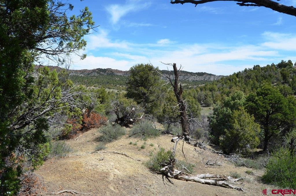1479 La Posta Canyon Road Property Photo
