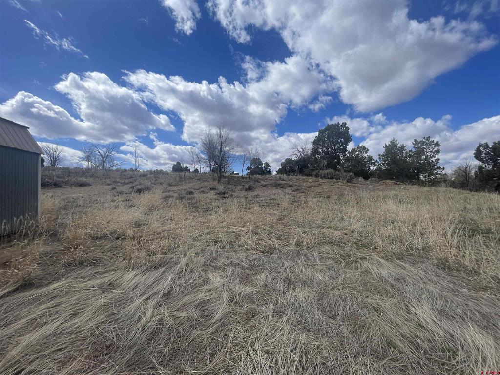 208 E Highway 491 Property Photo 24
