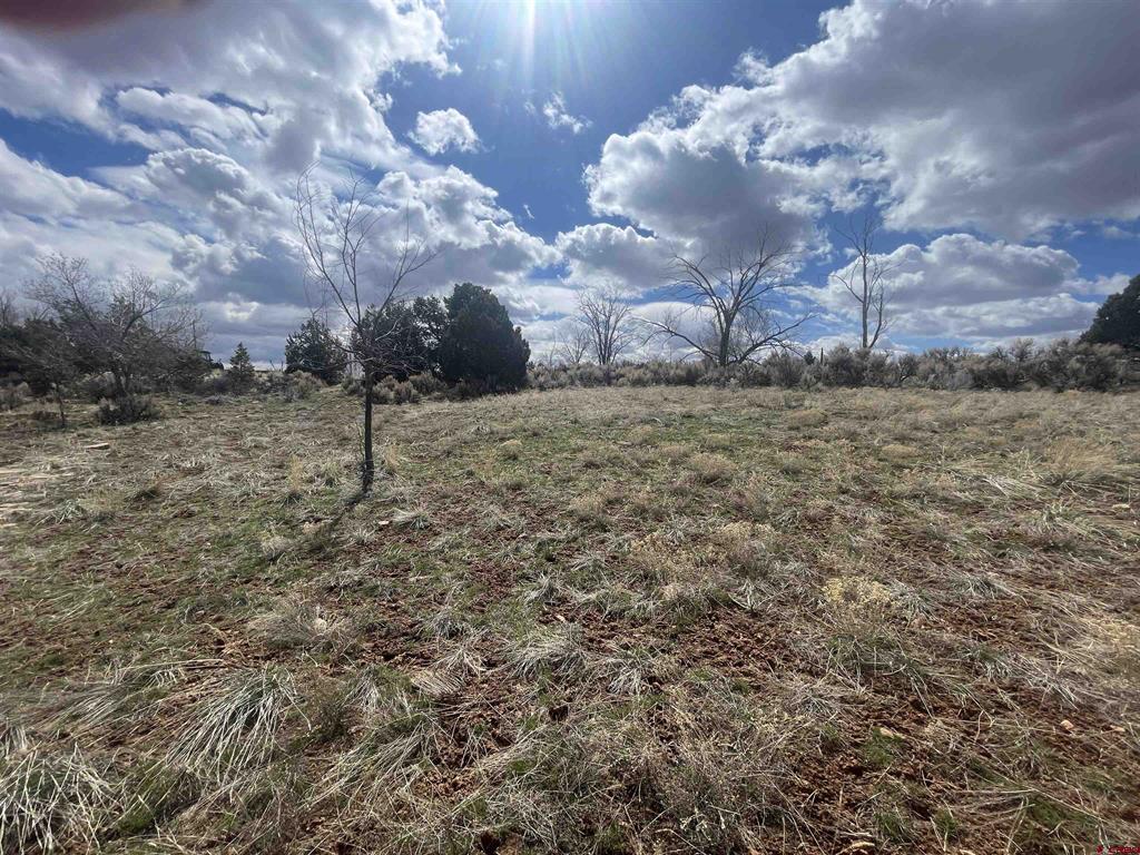 208 E Highway 491 Property Photo 26