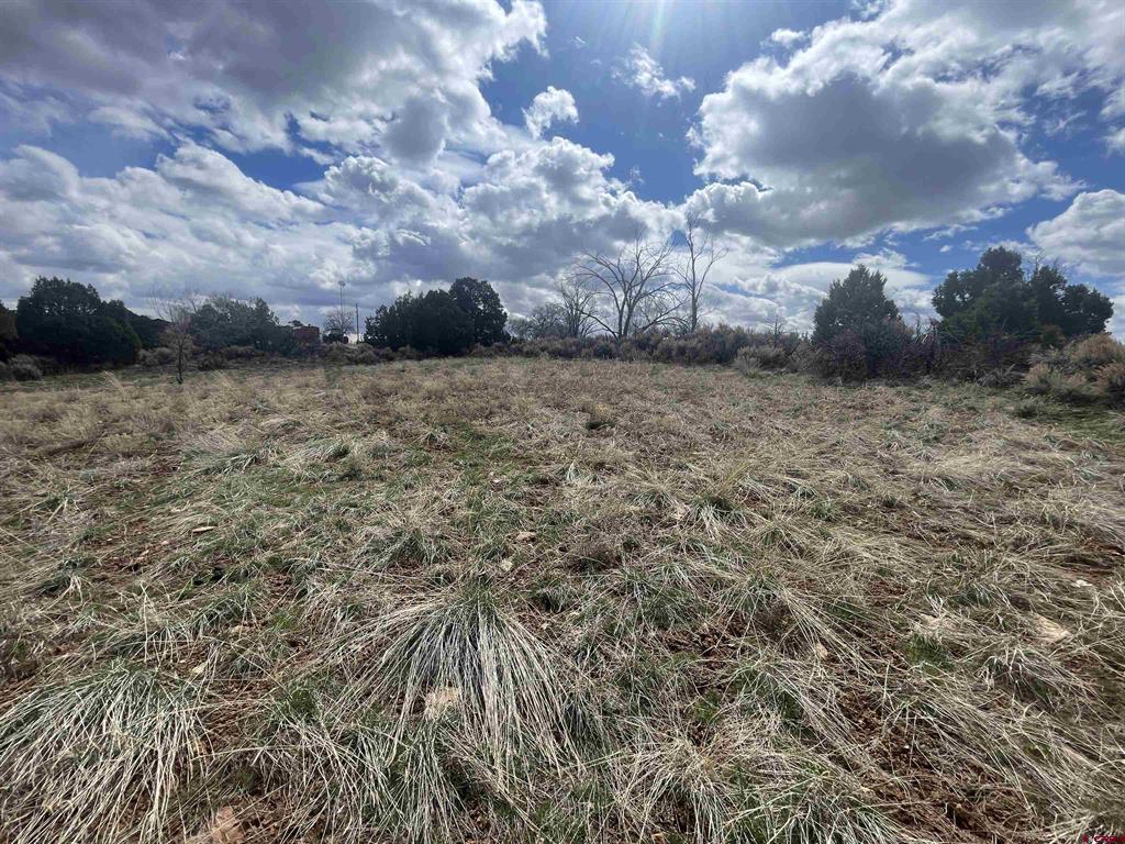 208 E Highway 491 Property Photo 27